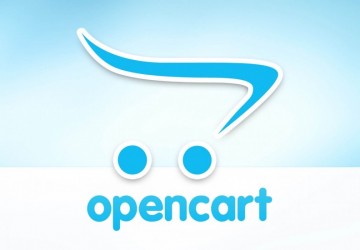 OpenCart Plugin for Payments